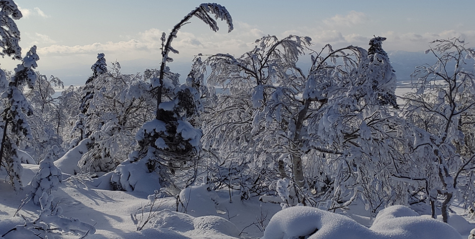Снежная сказка на горе Быкова