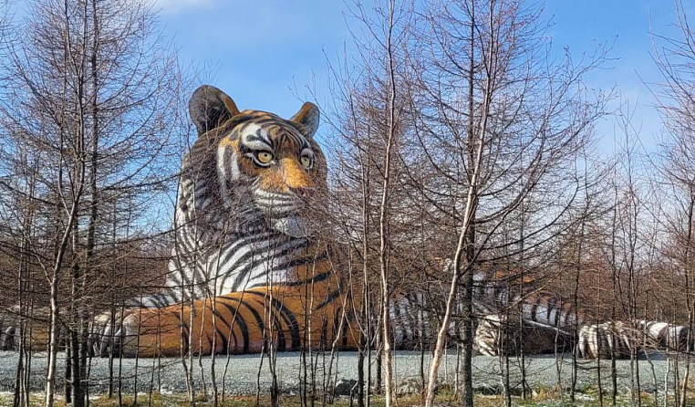Сделайте фото с самым большим тигром в России